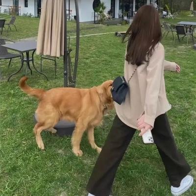 壶道